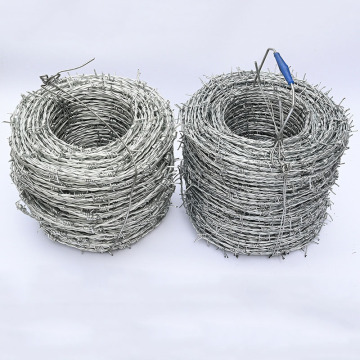 High Quality Galvanized Barbed Wire Fence: 14x14, 16x16, 1.6mm, 2.1mm, 2.5mm Double Strand Barbed Wire for Sale