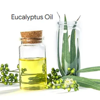 Pure Natural Eucalyptus Essential Oil CAS 8000-48-4