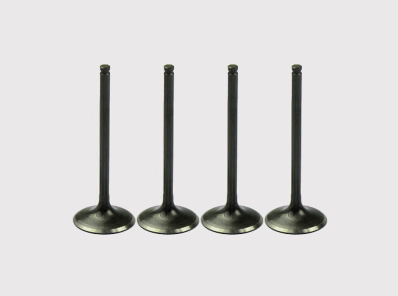 Exhaust Valve Replacement for Vehicle