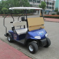 2 seaters gas golf carts for sale