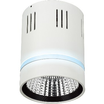 12W 22W 17W surface mounted led COB downlight commercial lighting