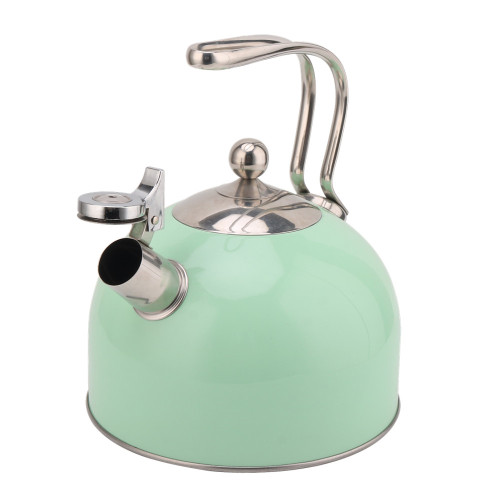 Light Green Whistling Kettle For Home