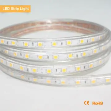 AC220V SMD5050 60PCS/M LED led strips waterproof