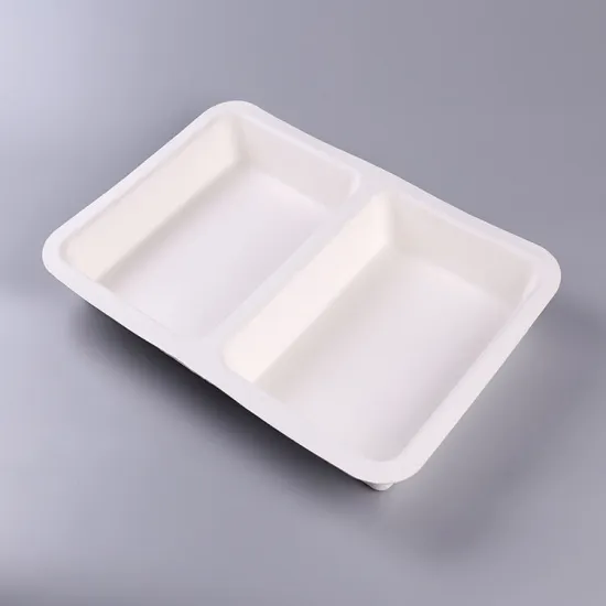 Bagasse Disposable Biodegradable Paper Tray For Food