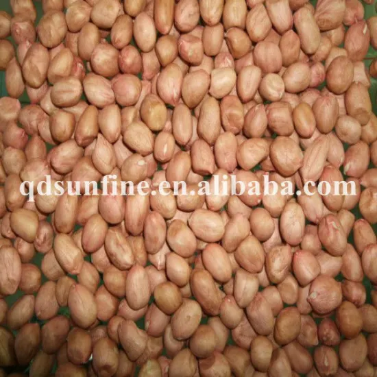 round peanut kernels 50/60