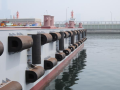 Marine Rubber Fenders till salu