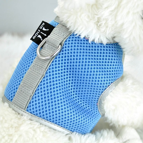 Blue Airflow Mesh Harness with Velcro back