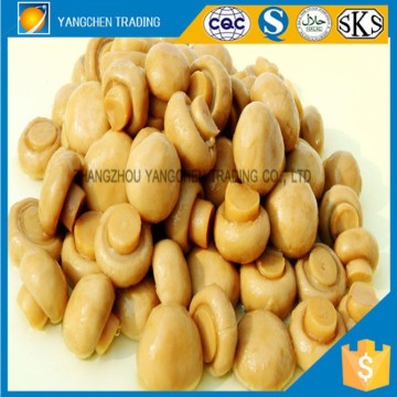 hot selling canned mushroom whole for market