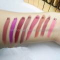 Hochwertiger Lippenstift OEM Make Up Cosmetics EC