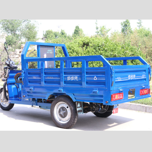 adult 3 wheel heavy loading electric motorcycle