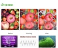Venta de 10L Lavadora ultrasónica de frutas y verduras