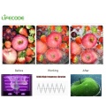 10L sale Ultrasonic fruit and vegetable washer