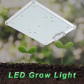 屋内植物の高性能成長ライト