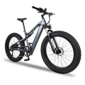 Low Power Consumption Fat Tire E-Bike