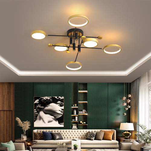 LEDER Flush Black Ceiling Lamp