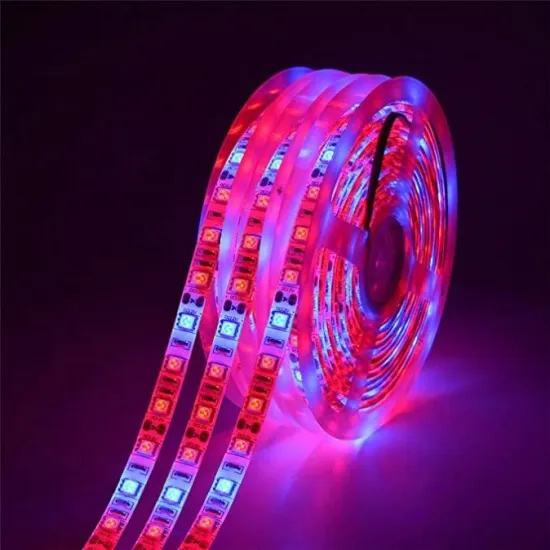 DC12V 5050 Full Spectrum LED Grow Strip Light with Red:Blue Ratios 3:1, 4:1, 5:1 for Plant Growth
