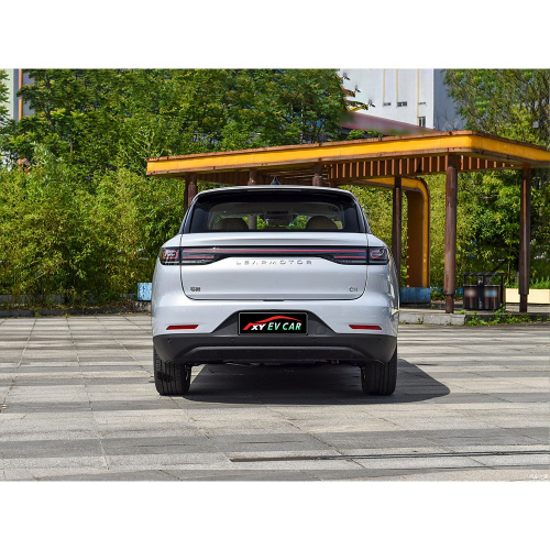 Leapmotor C11 Model Extended Range 300 Smart Edition