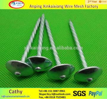 Q195 umbrella head roofing nails