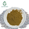 مستخلص Ligustrum Lucidum للمكملات الغذائية