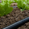 Tubo De Gotejamento Para Sistema De Irrigação De Estufa