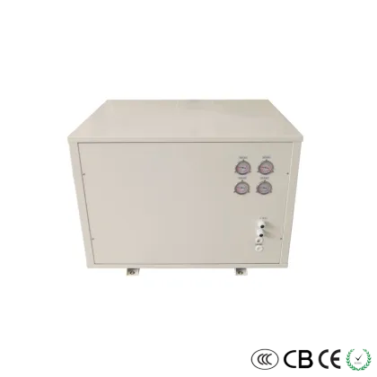 Advanced geothermal heat pump