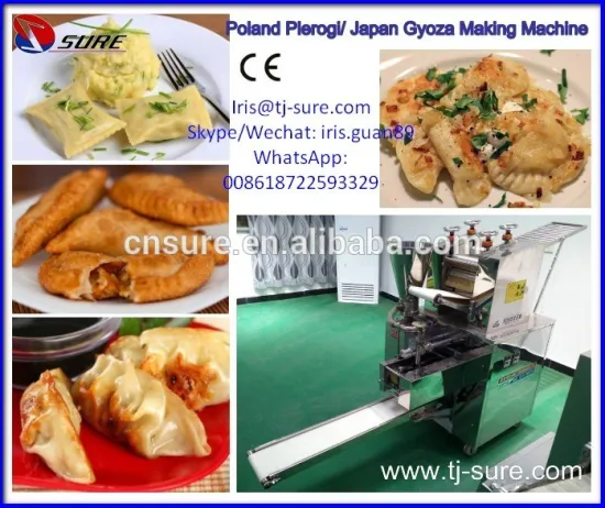 Poland Pierogi Japan Gyoza Making Machine