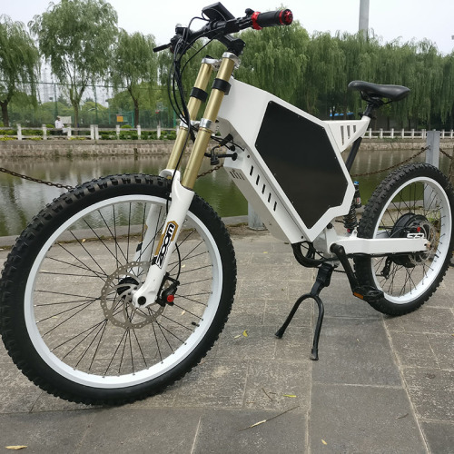 Benutzerdefinierte CE-genehmigte Fettreifen Elektrische Fahrräder
