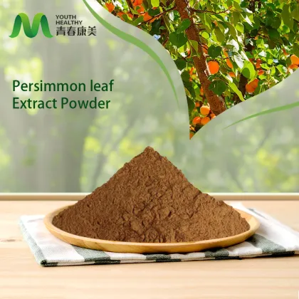 Natural Persimmon Leaf Extract for Blood Lipid Reduction