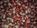 Buah-buahan Chestnut Tepung Cina Berkualiti Tinggi