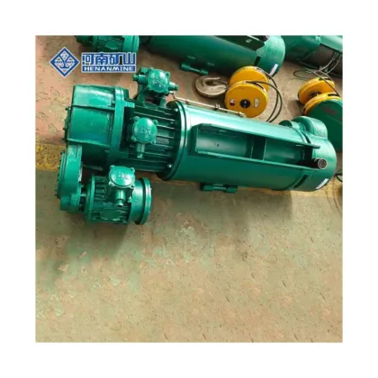Wire Rope Hoist Capacity 500kg to 10t: Types and Origins