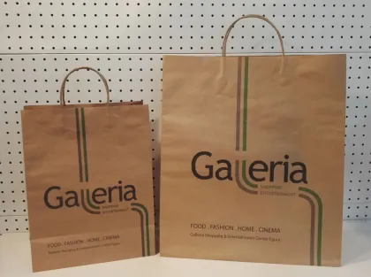 custorm print paper bag