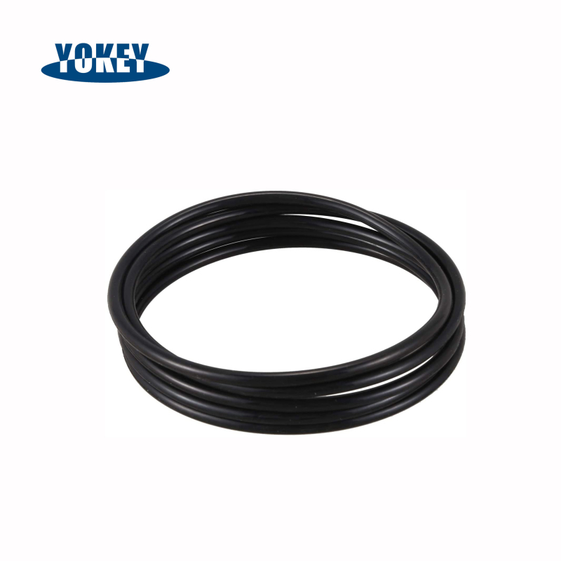 Good Ozone Resistant Rubber O-Ring FKM FFKM O-Rings for Hydraulic Machines