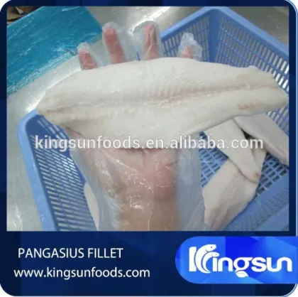 Frozen Pangasius / Basa IQF Fillet