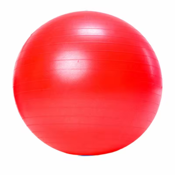 Hot Sale Realsin Premium Cross Fit Yoga Ball for Weight Loss and Pilates