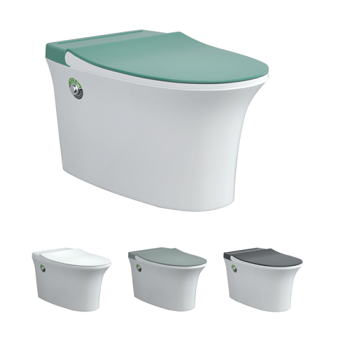Miglior prezzo Toilette in ceramica P-Trap senza montatura per bagno