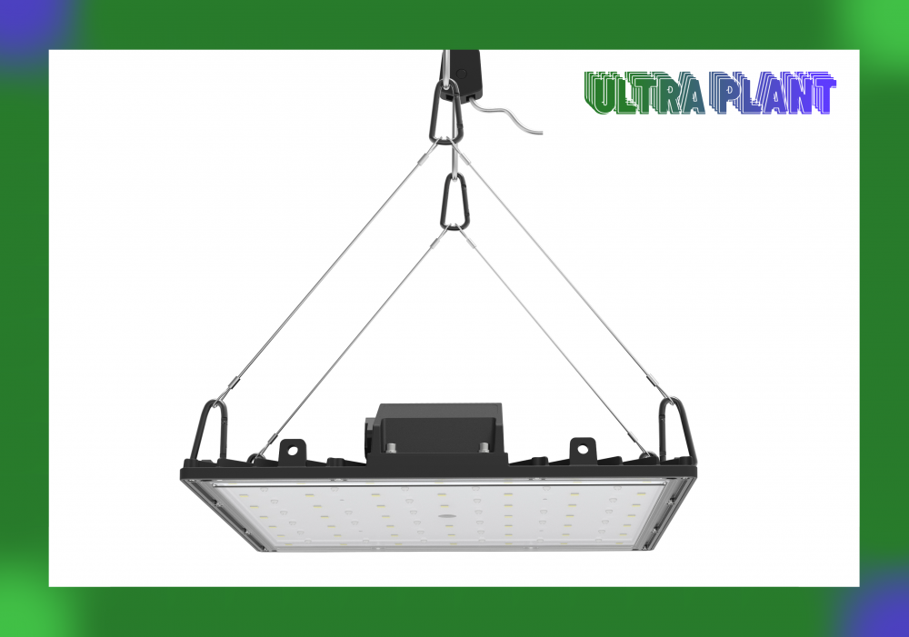 grow lights led for indoor plants