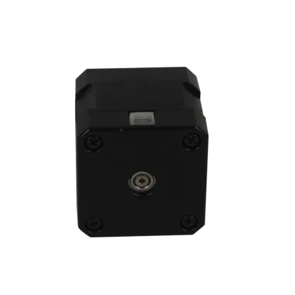 36V 24V Brushless DC Motor 42mm Electric Brushless DC Motor