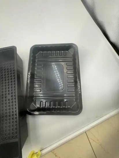 PP plate for meat,vegetable box , fruit container