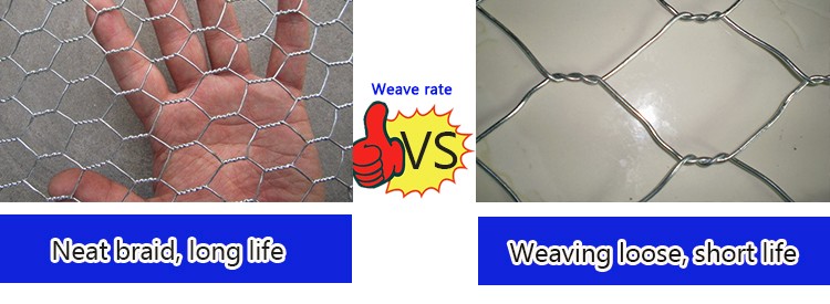 hexagonal wire mesh