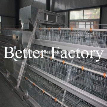 BETTER FACTORY 2015 new design Best-Selling automatic layer/broiler chicken cages for sale(direct factory)
