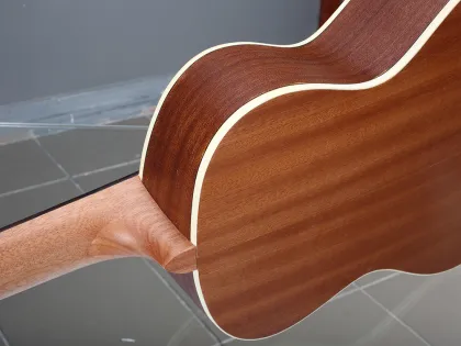 Handmade stringed instrument  mahogany   ukulele