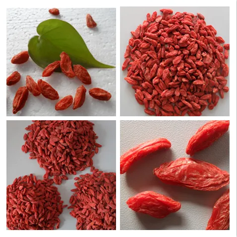 Chinese Organic Goji Berry 2018