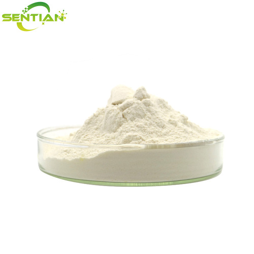 High-Quality Yam Extract Powder