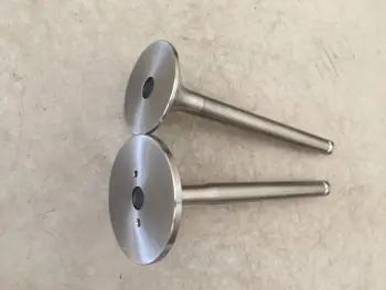 Marine Diesel Engine Parts 6HAL-DTN Engine Valve