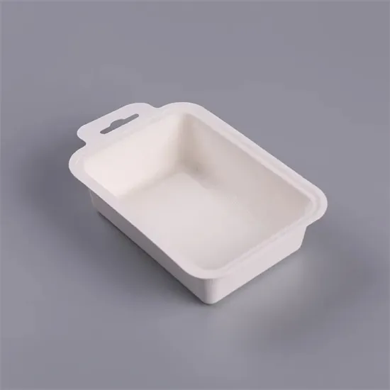 Biodegradable sugarcane bagasse paper molded pulp food tray