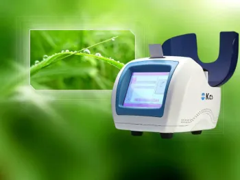 1mhz Ultrasonic Cavitation Machine For Face, Neck Wrinkle Eliminating, Skin Rejuvenation Med-300+