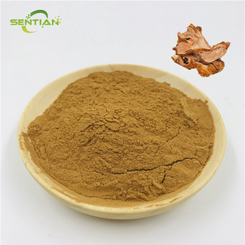Natural Cynomorium Extract for Dietary Use