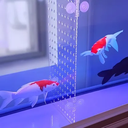 Acrylic Fish Tank Divider