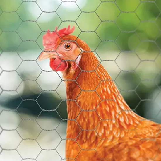 Lightweight Durable Fencing Chicken Cage Wire