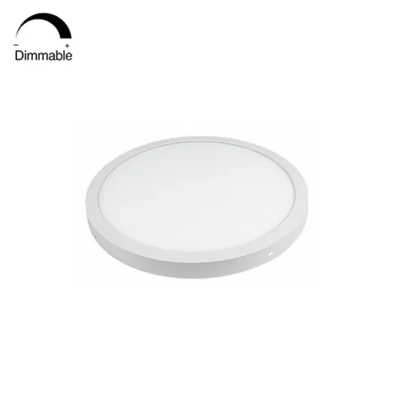 Warranty 3 Years CRI80 Dimmable Round LED Surface Panel Ceiling Downlight 6W-24W 220mm